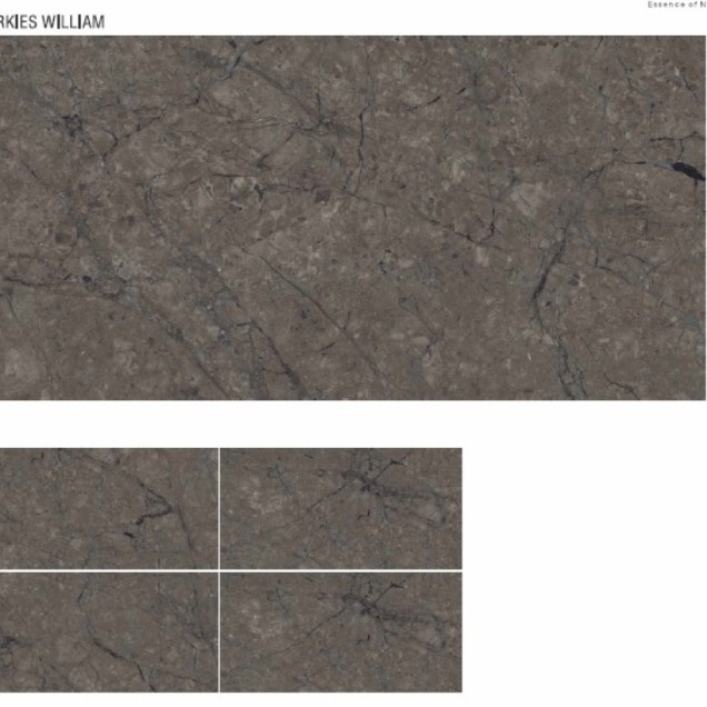 Плитка Turkies William фото